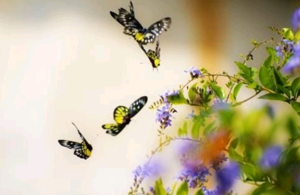 ������ �����ף� ������ ���Ͻ��� 174713svi7b0b0ogh9p3qz