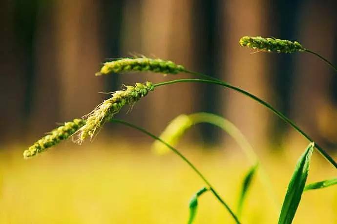 С �������ϣ�  ԭ���׷� 222510yyt6nyt7vy6vl0l7