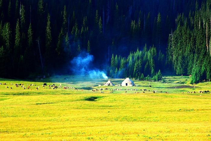 ������ ������ �ִ�ʫ�� 175844p2c6t5i3cisuzyb3