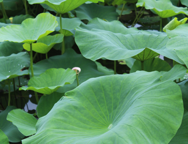 �߾� . �ɷ� �߾� ���Ͻ��� 235011a77jlffji2culo3l