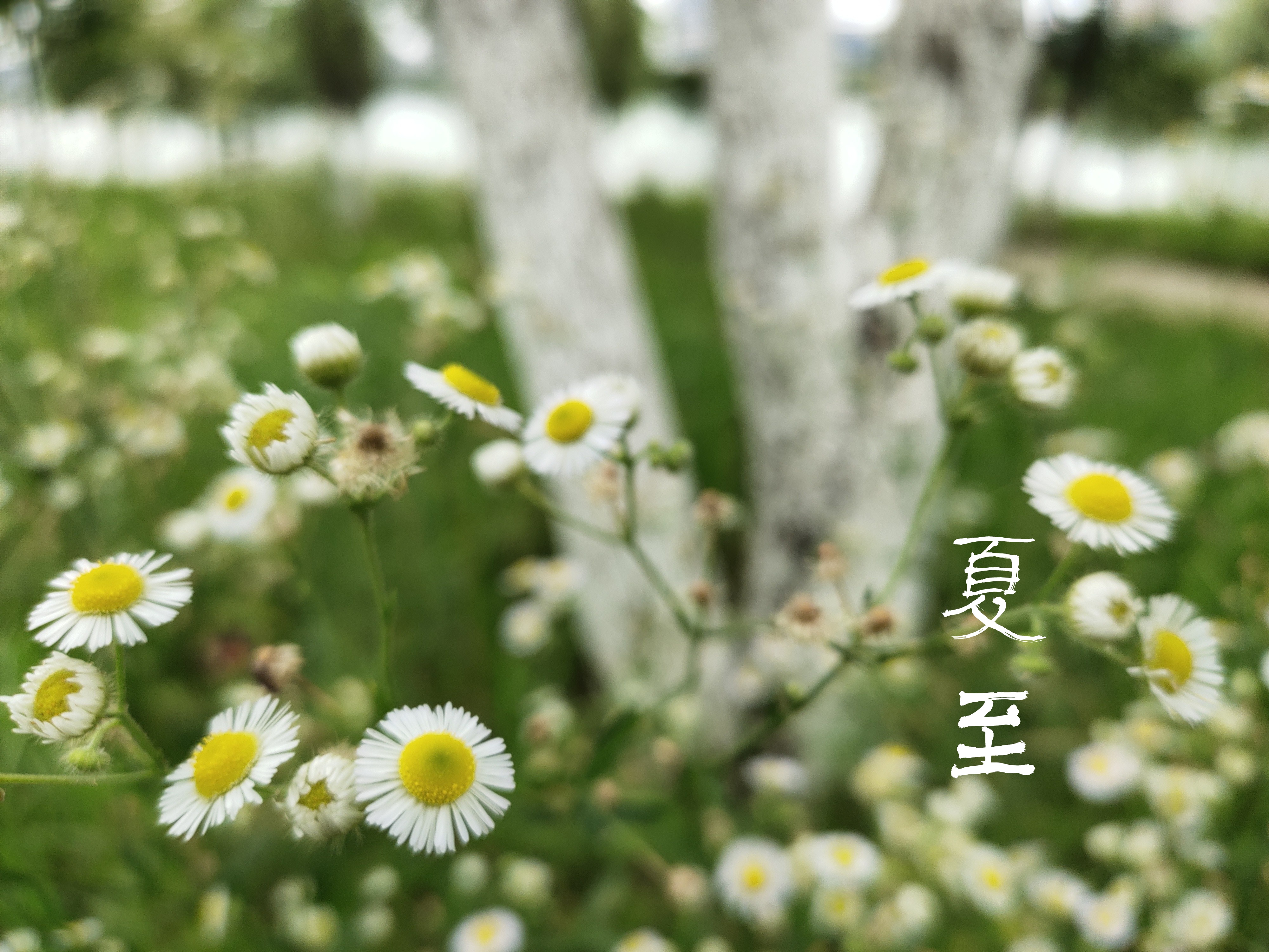 ��ɣ�ӡ����� ��ɣ��,���� ԭ���׷� 225432ooa9t9u2oqobnre2