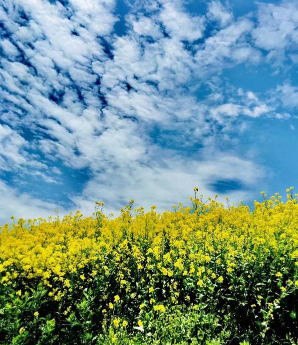 ���� ���� ���Ͻ��� 231608pc9deszc1qsuczqs