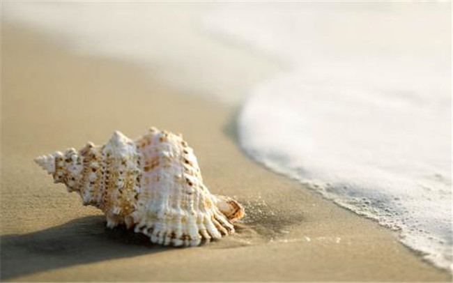 �������� �������� ɢ����� 183216e1rtq1l1ww141zmt