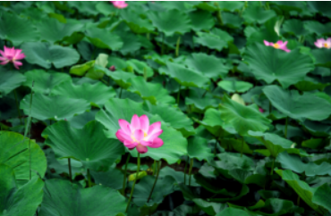 ���� �����ף� ���� ���Ͻ��� 232952nrzbjpalmsayjbzg