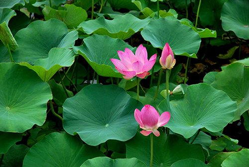 ���������ͺ� ���� ���Ͻ��� 104044g8wixuwaew9le89g