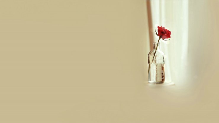 ��ʵ�Ҹ��ܼ� ��ʵ,�Ҹ��ܼ� ɢ����� 155317sz6zuv6jjchuzv5d