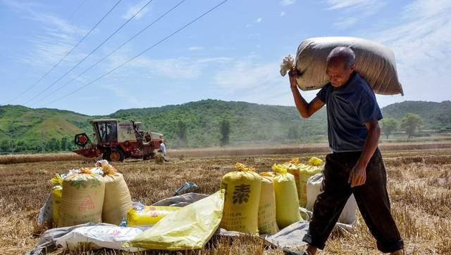 ����  ���Ͻ��� 090830dppm80weuxxzlm18