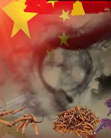 ���ǲ�֮�� ���ǲ�,֮�� ���Ͻ��� 234902npgqgx3icoggzgx3