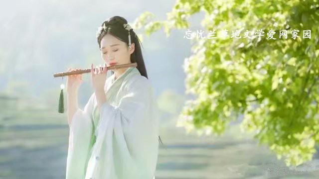 ����˼������  ���Ͻ��� 001108b5pjsar2arnebobd