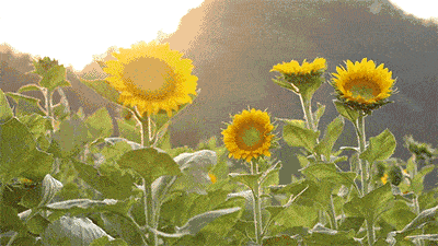 ���տ��ڸ����ת������������ ���տ�,ת��,����� �ִ�ʫ�� 123726rsslllsbg2bmstlg