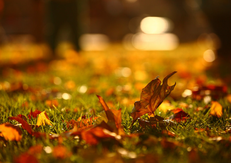 �����졤��棨��������) ��� ���Ͻ��� 094753zxdb1bb2hb2an4y1