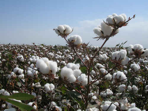 ��һ��ׯ�ڽ�̸ ׯ��,��̸ �ִ�ʫ�� 213325srr3l4ru254qzz2i