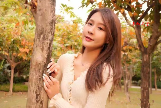 ����������� ������ף� �����������,���� �ִ�ʫ�� 215515mt5192912229xx19