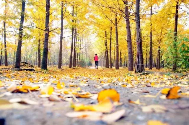 ����㡤����  ���Ͻ��� 210538tkavgjkwklpkl3z3