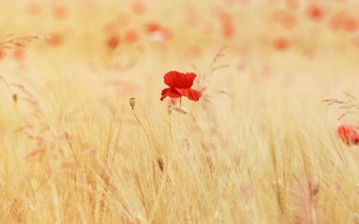 ��������� ���,���� ɢ����� 081323s41e4h43pi4e2unx