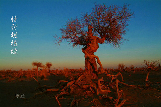 ���������  ��ƪС˵ 140029zijguht111fi4ziq