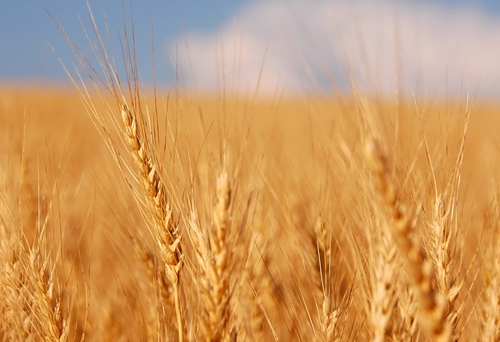 â  �ִ�ʫ�� 094659bbczja9ajmfbf75z