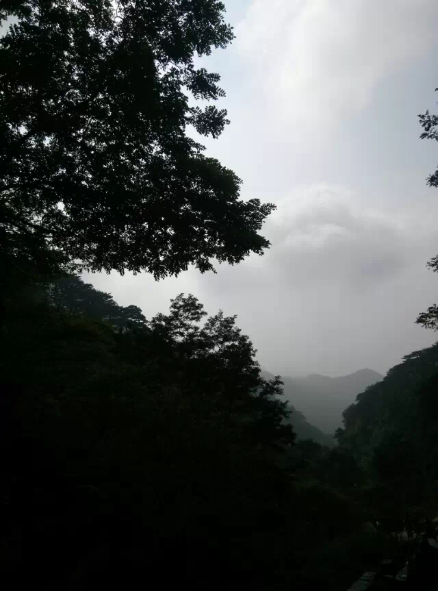 ����̩ɽ�� ̩ɽ ���Ͻ��� 212516m1lqveeplaqyc3pe