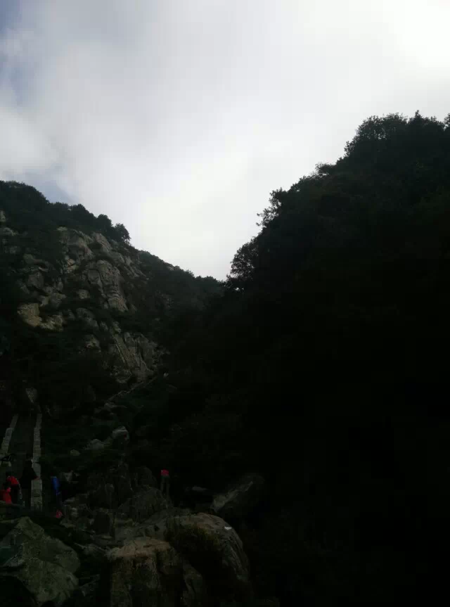 ����̩ɽ�� ̩ɽ ���Ͻ��� 212517v1r0e1tc6ye0r100