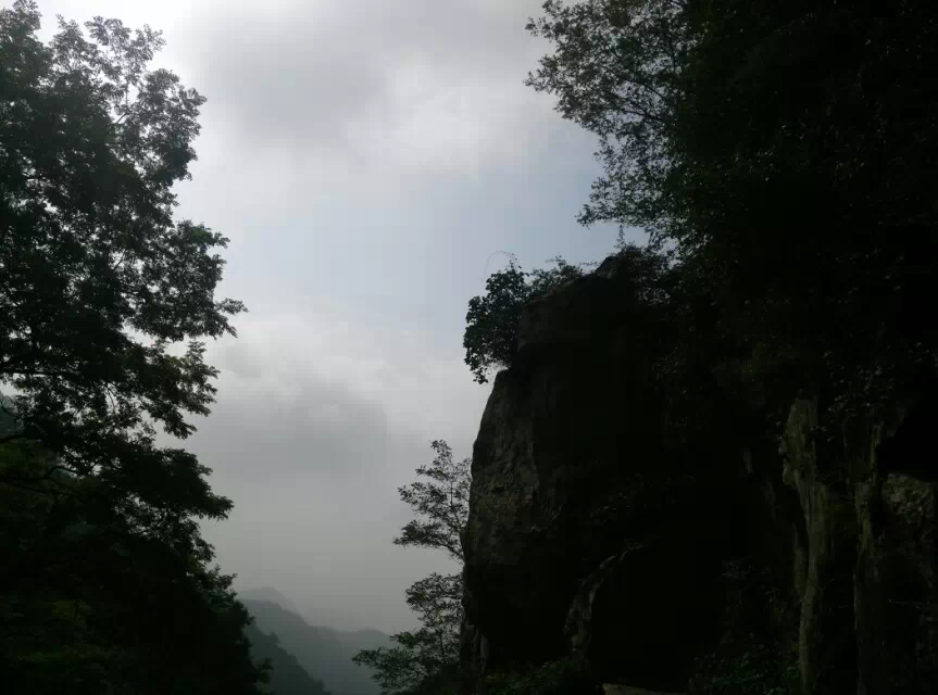 ����̩ɽ�� ̩ɽ ���Ͻ��� 213026a241fkz19kffkiib