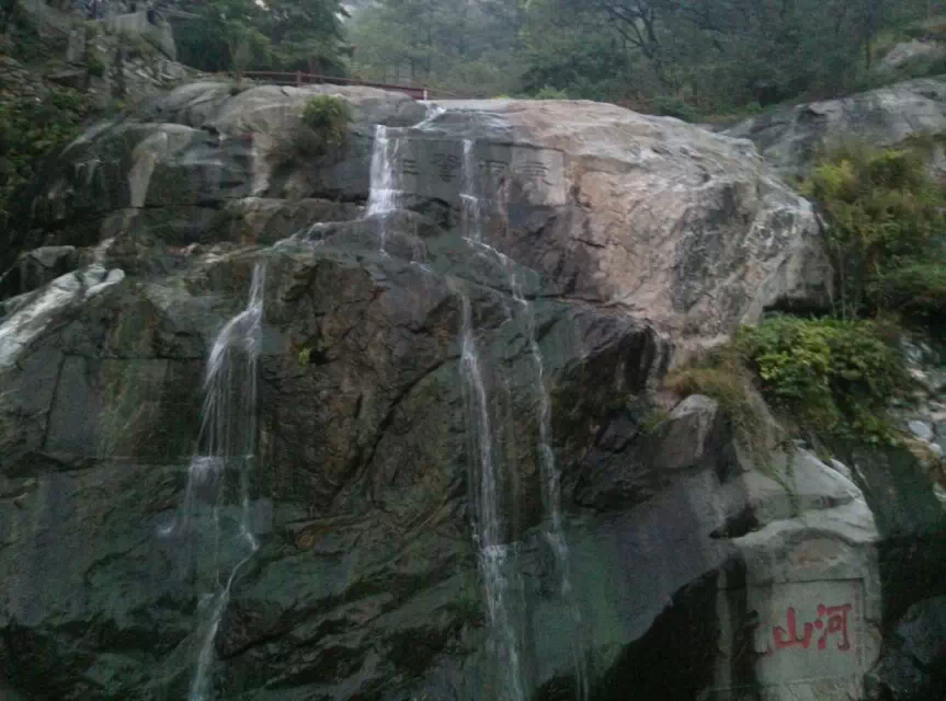 ����̩ɽ�� ̩ɽ ���Ͻ��� 213028g9jfj85j8q11fccu