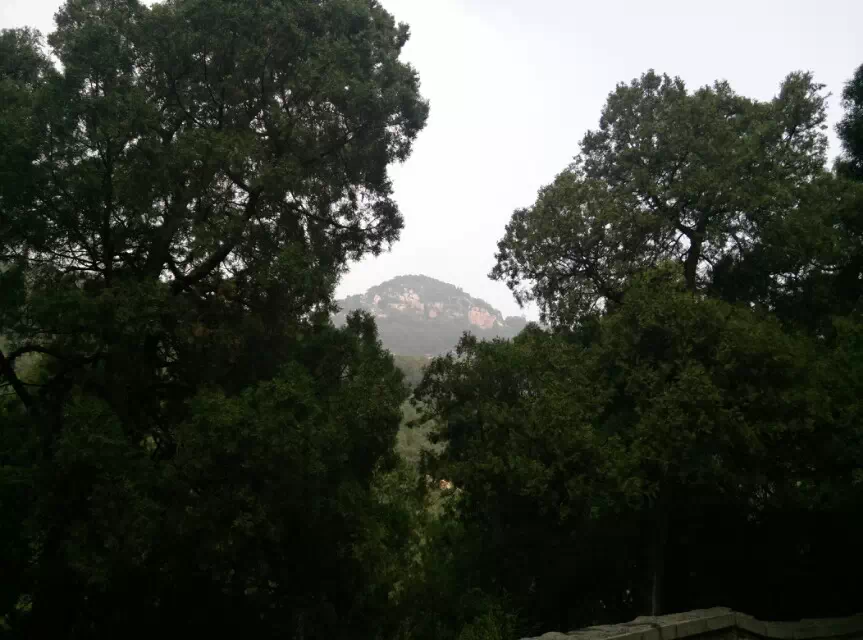 ����̩ɽ�� ̩ɽ ���Ͻ��� 213028z4dq2w4cw14iindu