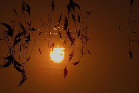 ����  ���Ͻ��� 193827tak5d53am5exm5km