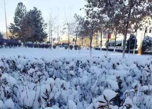 �����ׯ����û�ڳ����� ����,ׯ��,��û,���� �ִ�ʫ�� 194959zkff3sffiwp65b14