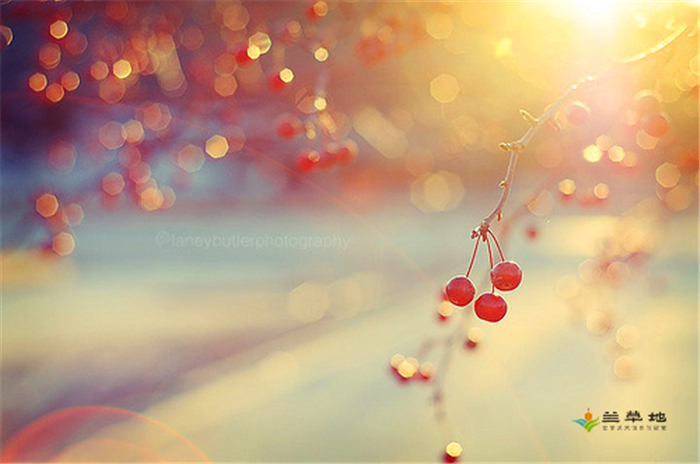 ��̨�ɷ� �ɷ� ���Ͻ��� 115825ow1udr1jhykpr1qd