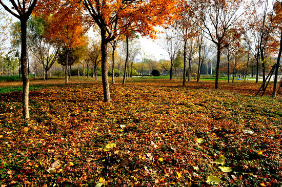 ����� �� ����ǧѰ �����,����,ǧѰ ���Ͻ��� 124703o79hh2zwri97w47w