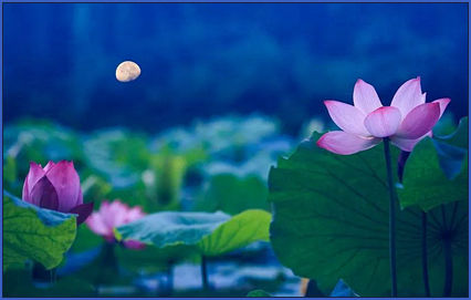 ������ɫ ������ɫ �ִ�ʫ�� 