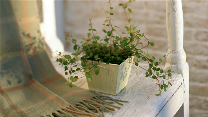 ����ǰ�� ǰ�� ��ƪС˵ 160324h5twxo8t75wbitgq