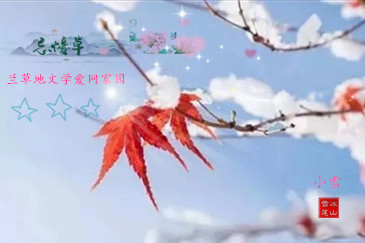 ���·����ѩ��  ԭ���׷� 233109gd2kzifq9k5pdpad