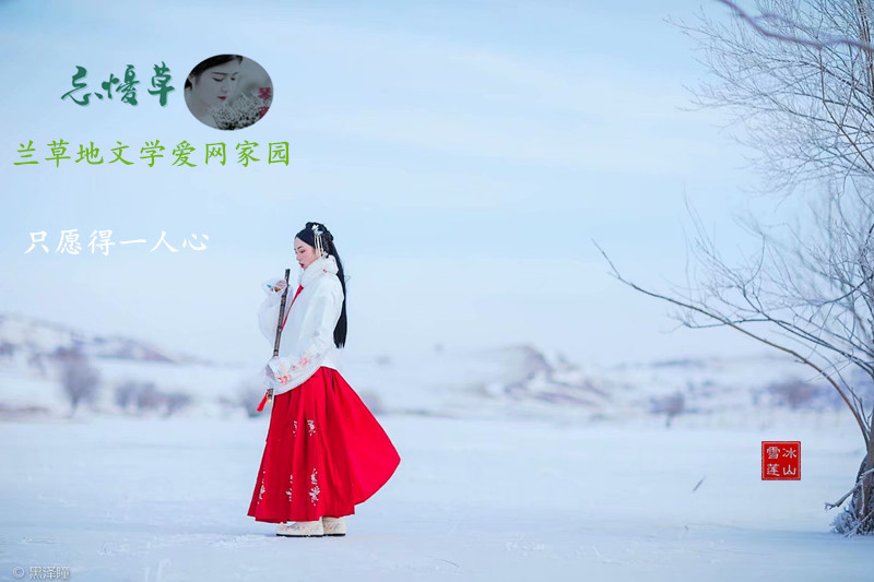 ֻԸ��һ���� ֻԸ��һ����,Ը��һ����,���� ���Ͻ��� 014414inqteva4wvk0qv0q