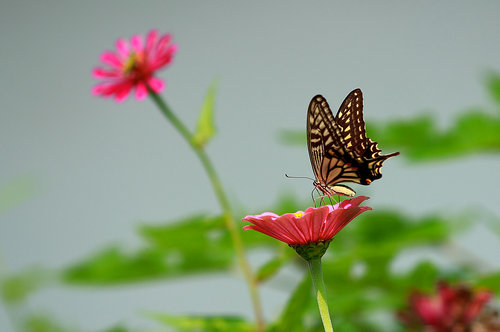 ���ﻨ �� ��� ���ﻨ,��� ���Ͻ��� 201023fdl3li5l6wwvjucl