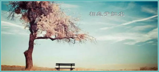 �����ڽ��� �����ڽ��� ɢ����� 202230xj8g9c0vpzvlpj0k