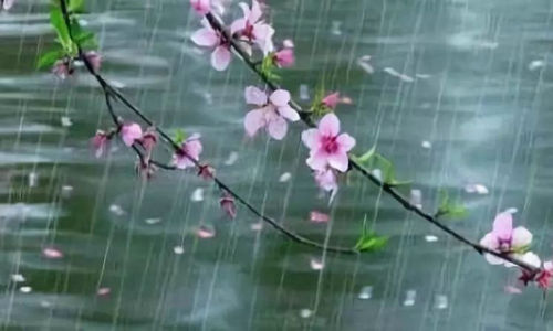 ��  �ִ�ʫ�� 143041wfz7yx5rt9ljxzz5