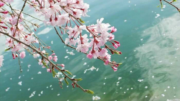 ������Ӱ �� �仨ʱ�� ������Ӱ,�仨ʱ�� ���Ͻ��� 184327vk39udok0fkt7dpf