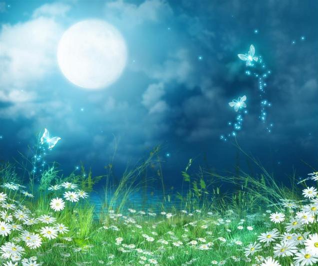 ����ҹ  ԭ���׷� 115315bw49fmh419vxy14h