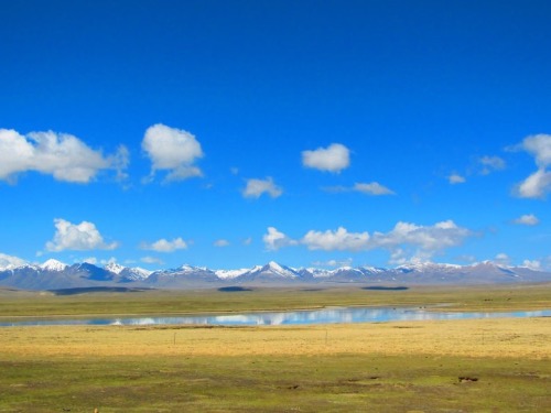 ȥ����ȥ�����������أ���һ�£� ���� �ִ�ʫ�� 