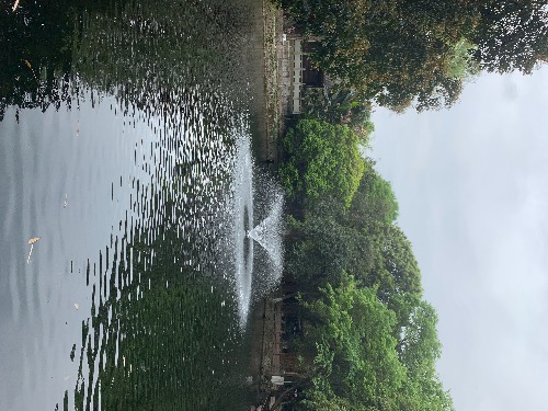 ������Լ������ ����,��Լ,���� �ִ�ʫ�� 