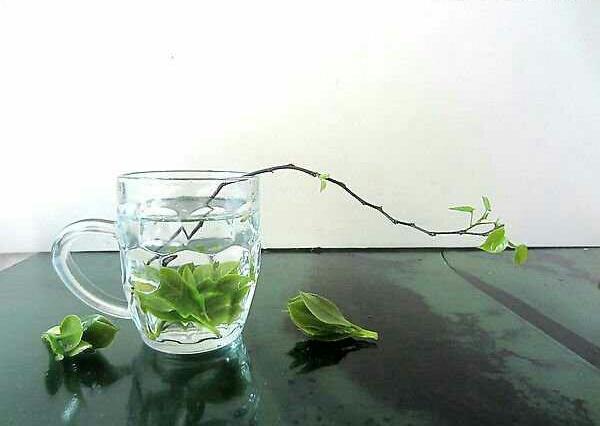 ������·������� ����,��� ɢ����� 193104thavwwa1j1u82ib7