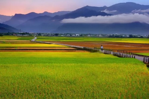 ʲô�ط�Ҳ�з�� ʲô,Ҳ��,��� �ִ�ʫ�� 