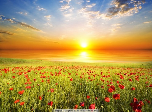 �������⣬̫�����µ����� ̫������,���� �ִ�ʫ�� 