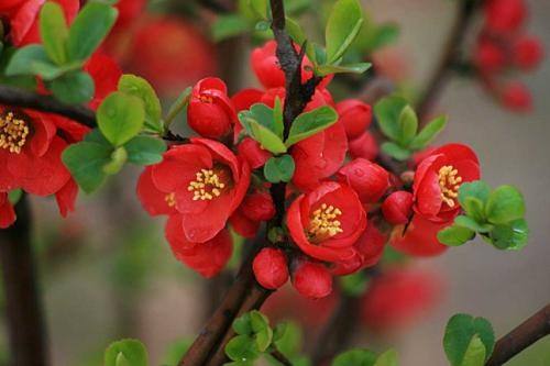 ���������һ�������� ������,����,һ��,���� ɢ����� 