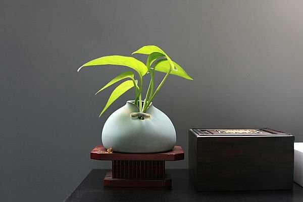 ����ż�� ����ż�� ���Ͻ��� 210058sg7wzez5fuj2gaci