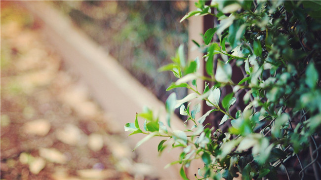 һ���˵ĺ� һ���˵� �ִ�ʫ�� 153248yrwnpngzfisww6lf