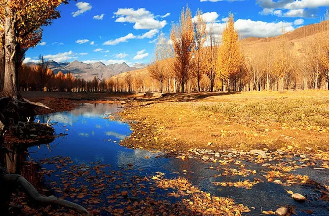 ����  �ִ�ʫ�� 205016d5c3f8xq8c3w5cif