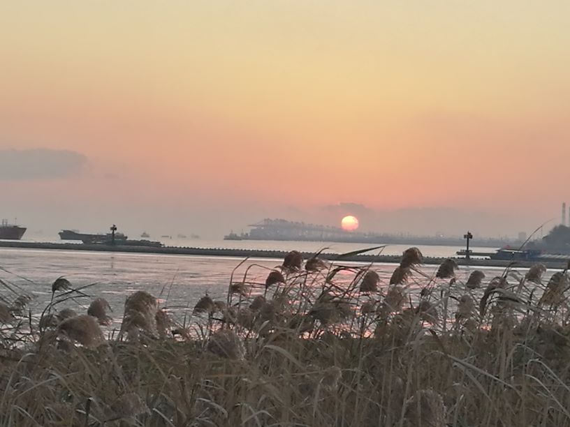 ���ɡ����� ����,���� ���Ͻ��� 093942tfk0fqfywpnghc0p