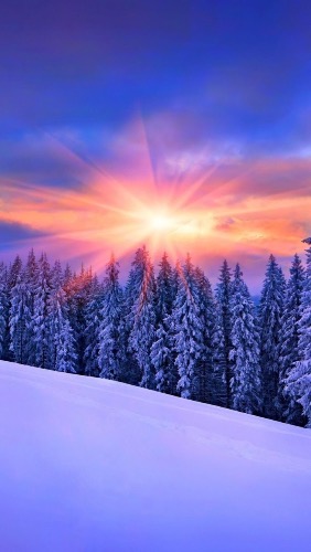 �躮��Ŀ�������� �躮 �ִ�ʫ�� 